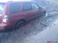 IMAG0066.jpg