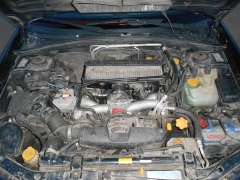 DSCN0113