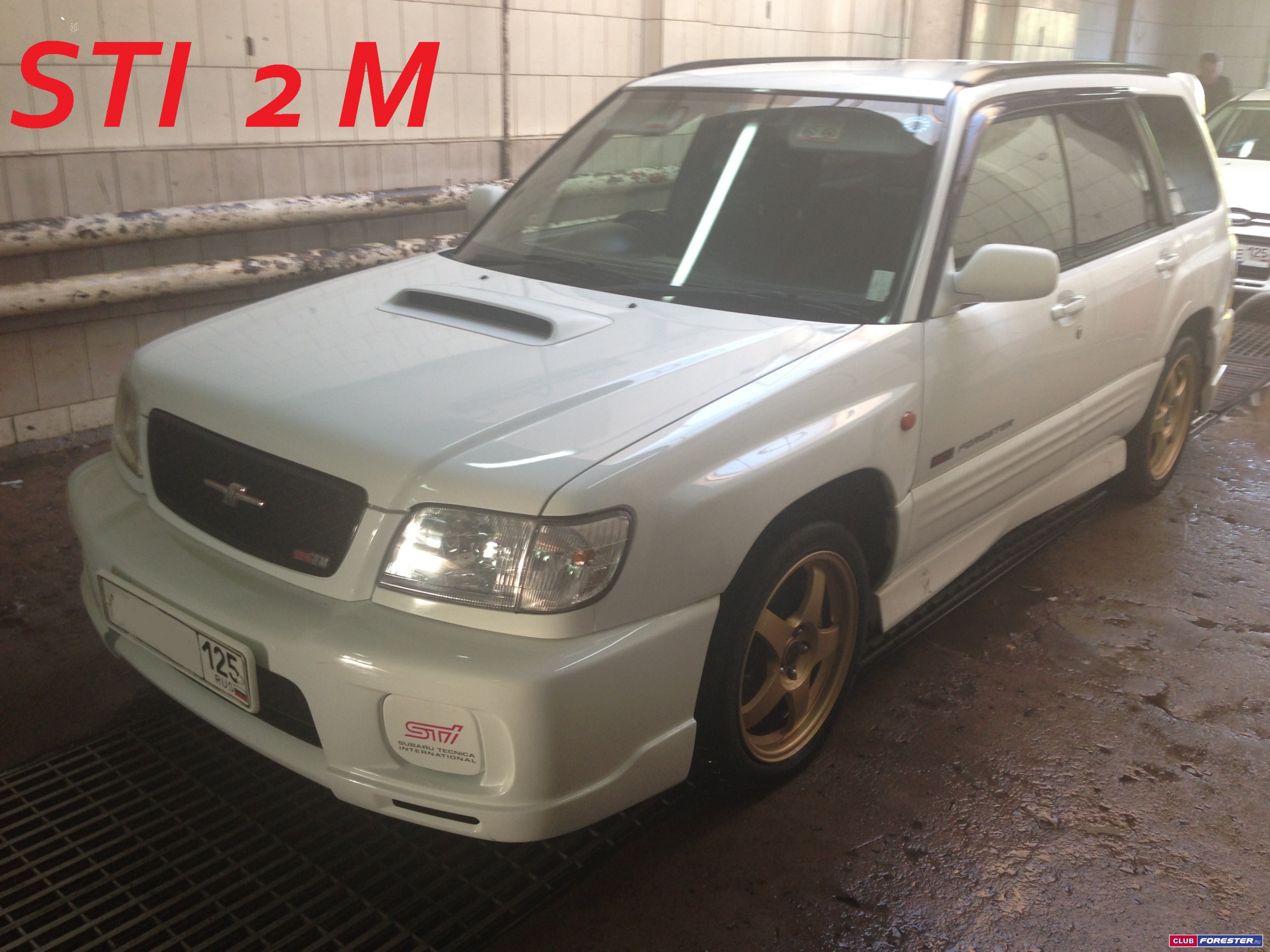 forester type m 2