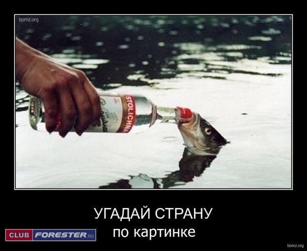 drunk_fish.jpg