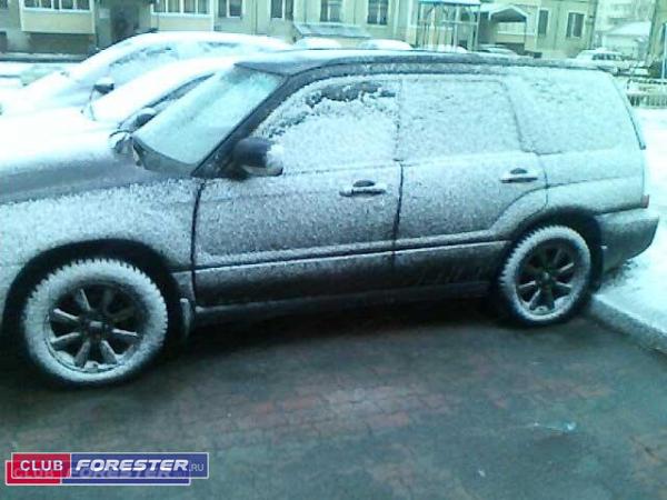 forester.jpg