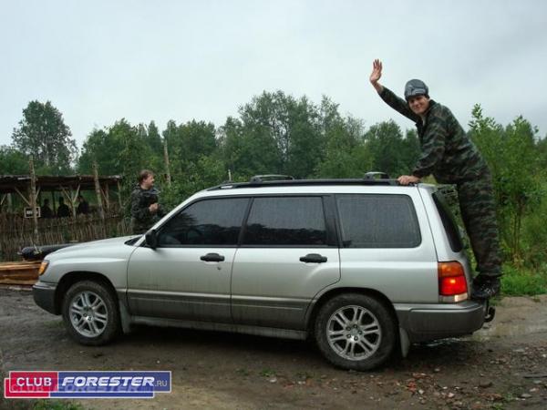 forester1.jpg